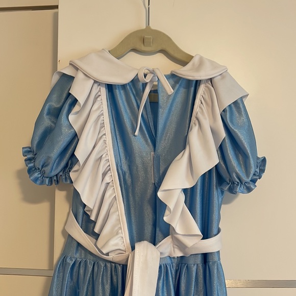 Alicia in wonderland costume - Picture 2 of 2